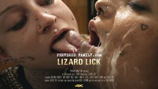 الاسرة الضارة الموسم الثالث فيلم رقم 12
